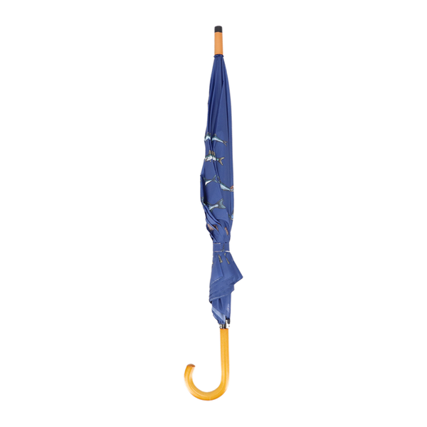 Espèces de poissons parapluie