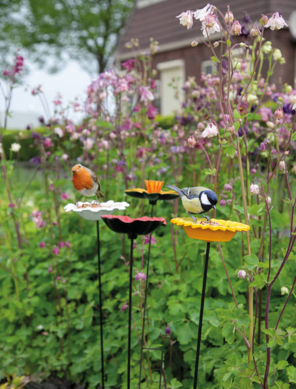 Mangeoire à oiseaux tournesol