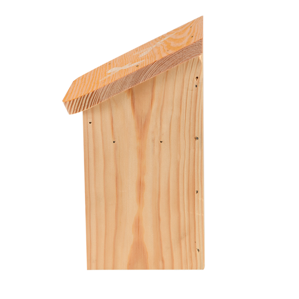 Diapositief bijenhuis