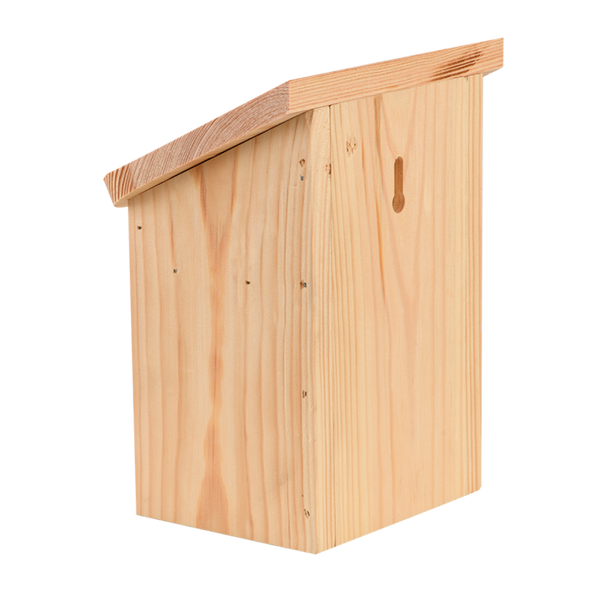 Diapositief bijenhuis