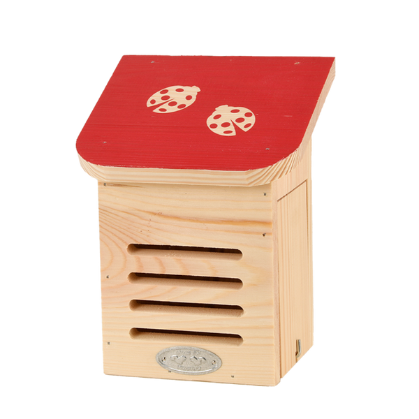 Diapositive coccinelle maison