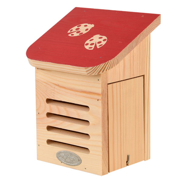 Diapositive coccinelle maison