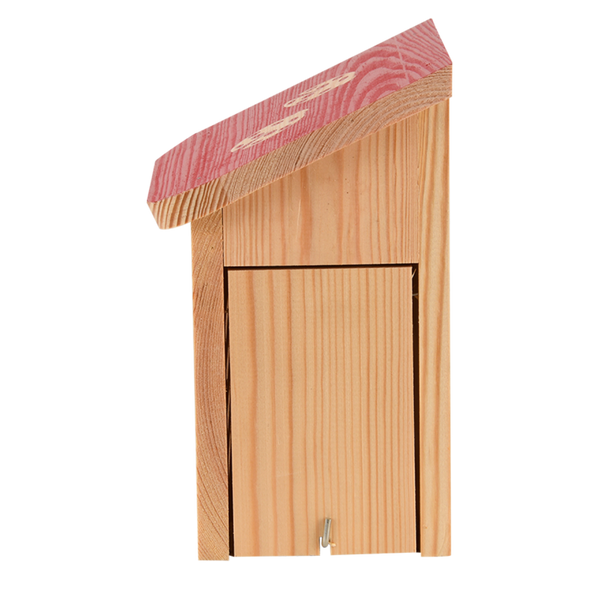 Diapositive coccinelle maison