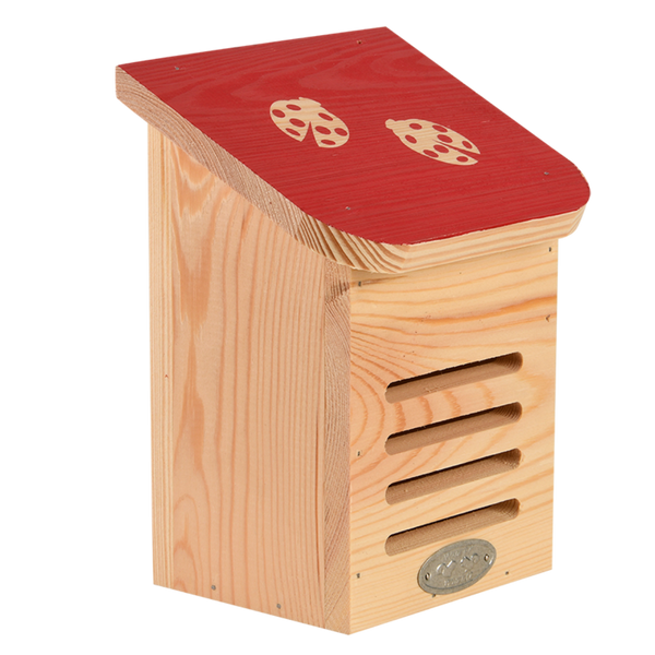 Diapositive coccinelle maison