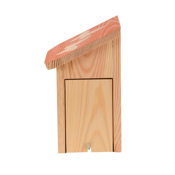 Boite papillon Diapositive