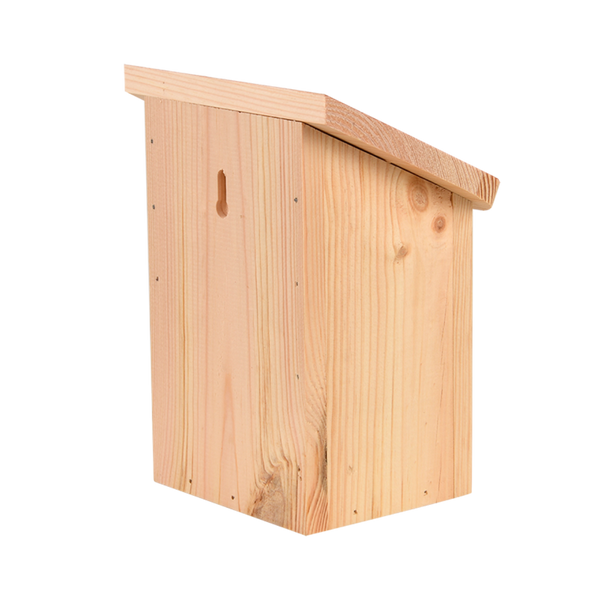 Boite papillon Diapositive