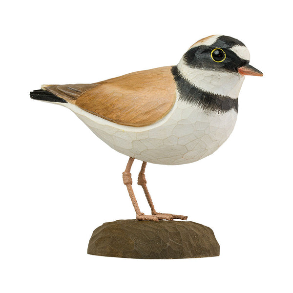 DecoBird - Petit Gravelot