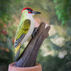 DecoBird - Pic vert