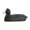 DecoBird Foulque macroule