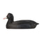 DecoBird Foulque macroule