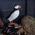 DecoBird - Macareux moine