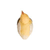 DecoBird - poussin courageux