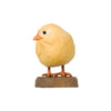DecoBird - Poussin curieux