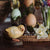 DecoBird - Poussin curieux