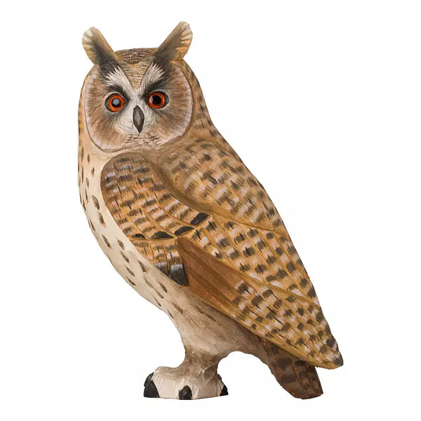 DecoBird - Hibou moyen-duc