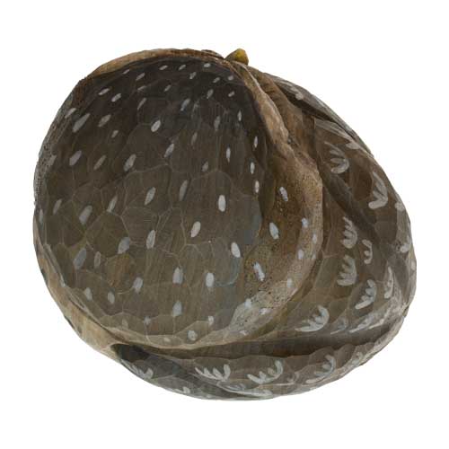 Vogelbeeldje Steenuil – Handgesneden Houten Decoratievogel | DecoBird Wildlife Garden