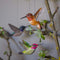 DecoBird Colibri roux