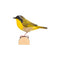 DecoBird - Gros Chardonneret