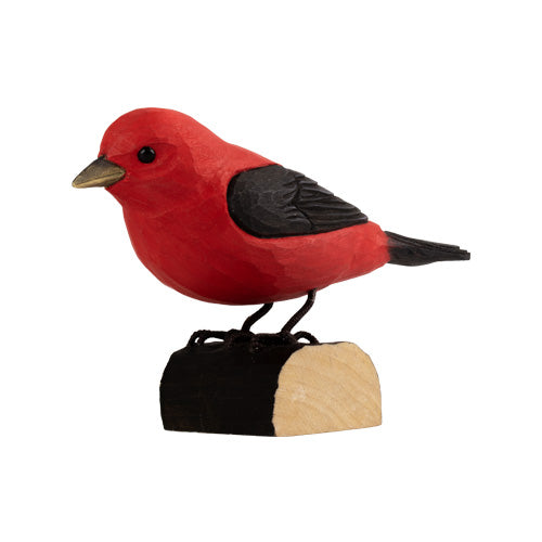 DecoBird - Tangara à ailes noires