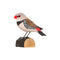 DecoBird Diamond Firetail