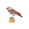 DecoBird Diamond Firetail