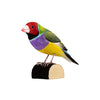 DecoBird - Pinson de Gould