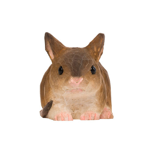 Muis