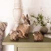 DecoAnimal - Petit Lapin