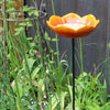 Mangeoire à oiseaux rouge coquelicot sauvage