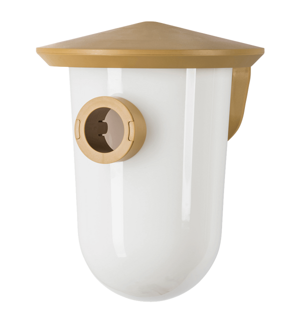 SingingFriend - largeR marron