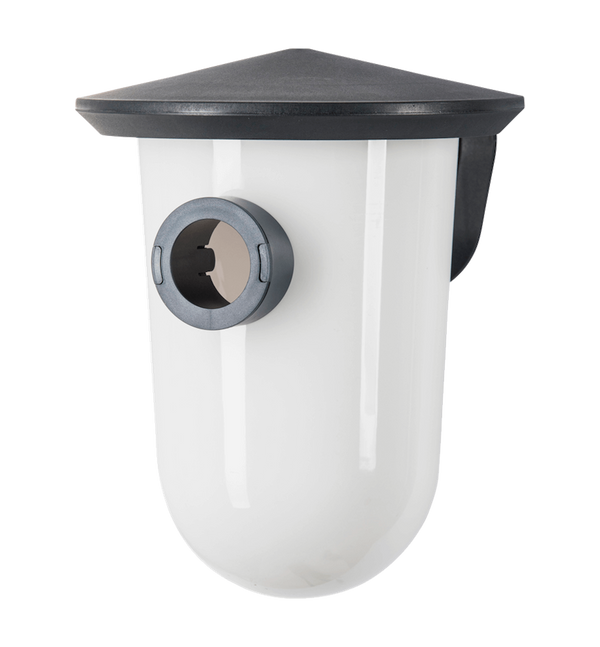 SingingFriend - largeR gris