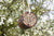 Baril d'abeille pour les abeilles