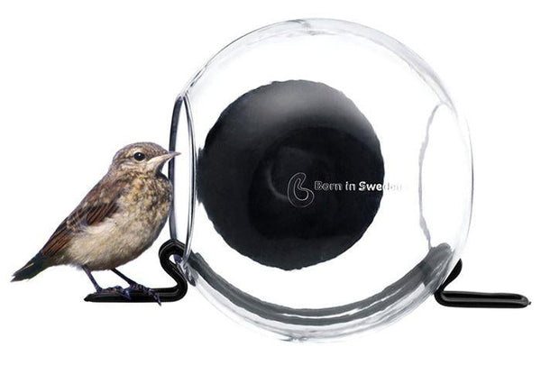 Mangeoire pour fenêtre BirdFeeder – Mangeoire pour fenêtre transparente (15 x 10 x 15 cm)