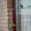 Cintre de fenêtre BirdSwing