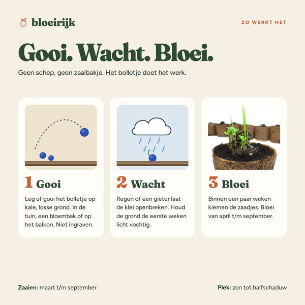 Zo werkt een zaadbom: gooi, wacht, bloei