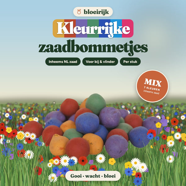 Kleurrijke zaadbommetjes van bloeirijk in een bloemenweide