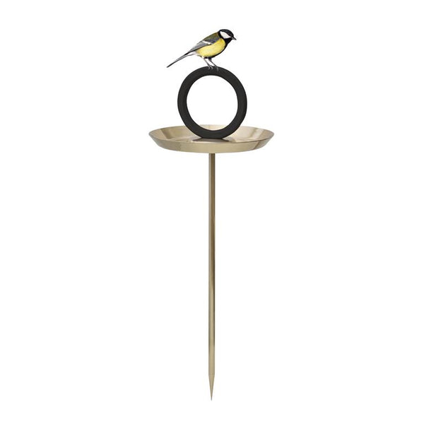 Bain d'oiseau Bain d'oiseau Né en Suède or