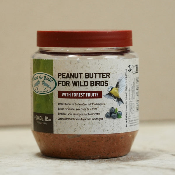 Beurre de cacahuète aux oiseaux et fruits des bois