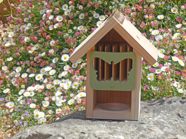 Cabanon à papillons