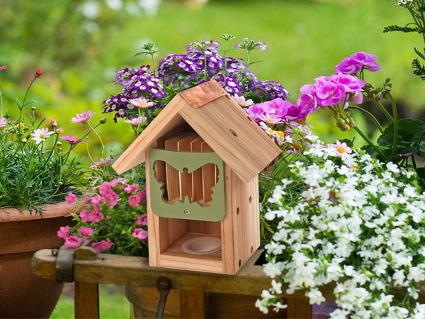 Cabanon à papillons
