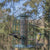 Mangeoire silo à graines anti-écureuil