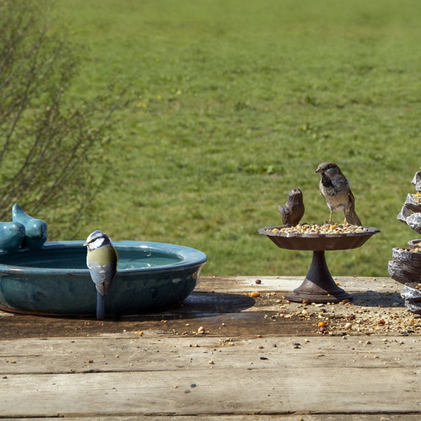 Birdbath en céramique qui traîne
