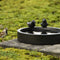 Bain d'oiseau terrazzo autour