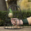 Cage sélective pour mangeoire à oiseaux