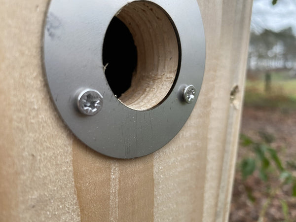 Kooprijk - Mésange charbonnière