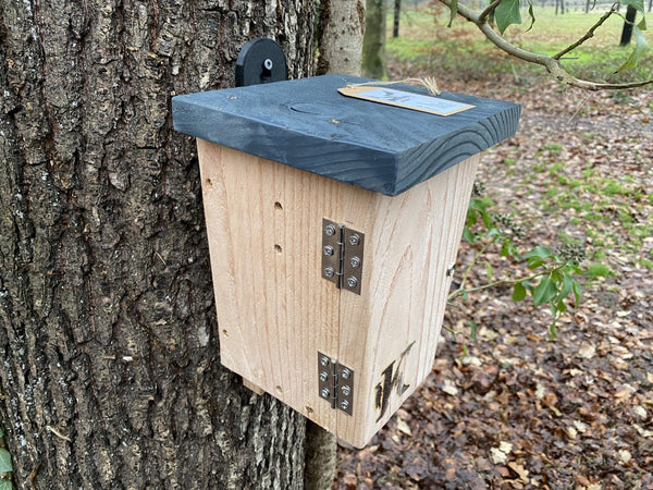 Kooprijk - Chauve-souris