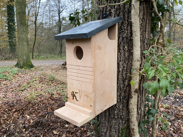 Kooprijk - Écureuil