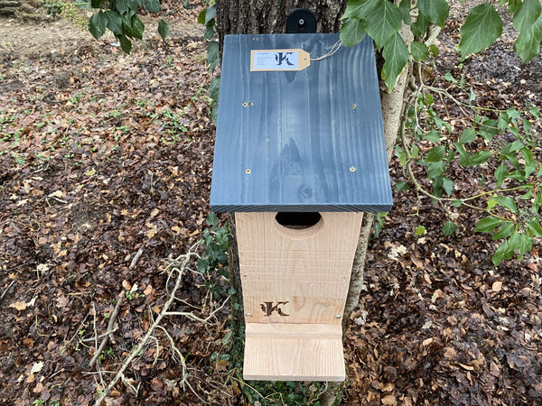 Kooprijk - Écureuil