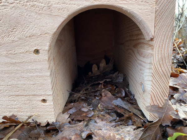 Kooprijk - Hérisson