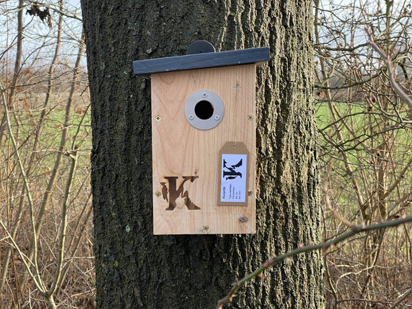 Kooprijk - Mésange bleue